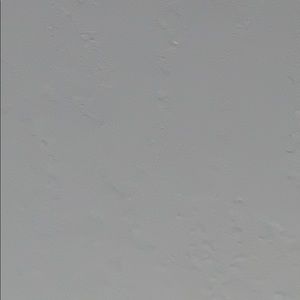 Meet your Posher, Zoey